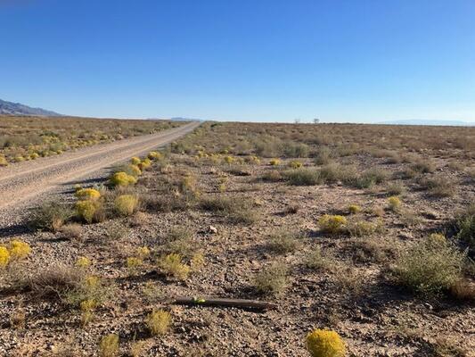 0.25 Acre Off-grid Desert Property in Valencia County NM