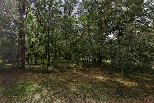 This 0.24 Acre Lot in Putnam, FL is All You Need! $199/Mo