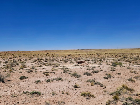 Offgrid in Navajo County for Only $125/Month! (1.26 Acres)