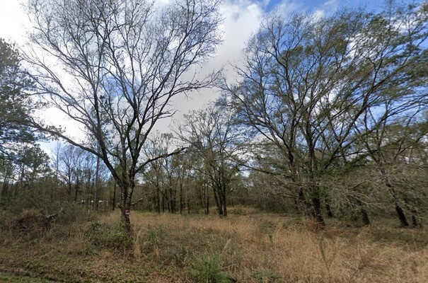 Country Living, City Perks: $249 Down to Secure Vacant Lot!