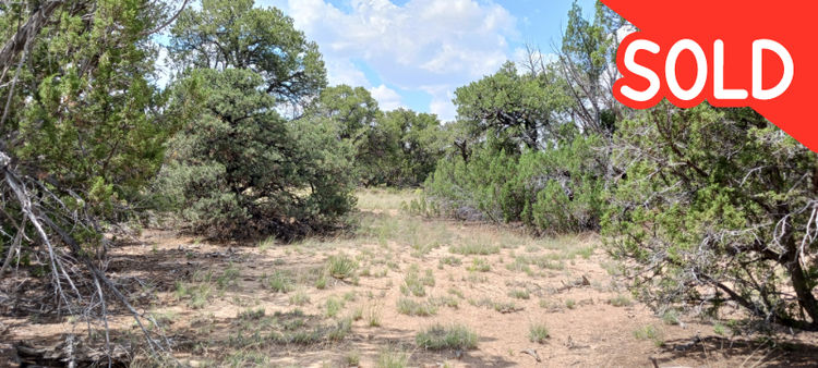 Trees and privacy! Have it all on 2.5 Acres in AZ