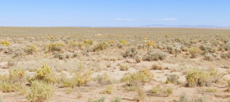 0.25 Acres of Stunning Beauty in New Mexico - Only $99/Mo!