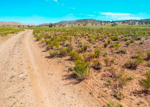 1.25 Acres of Raw Land Near Grand Canyon West - $100/mo