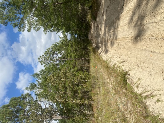 0.23 Acres Primed & Power-Ready in Putnam, FL! $194/Mo