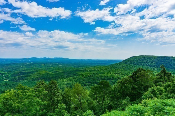 Wake up to Stunning Views. Own this Home lot for only $97/month. Here is How!