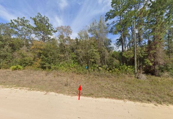 $243/Mo. For Your Interlachen Florida Land!