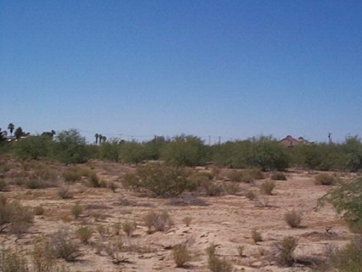 Buildable one-acre lot in NM with a $75/mo