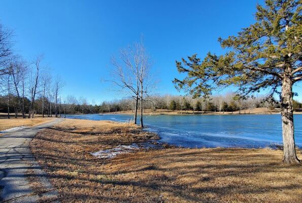 Nature, Freedom, Adventure: All in 0.3 Acres in Izard County