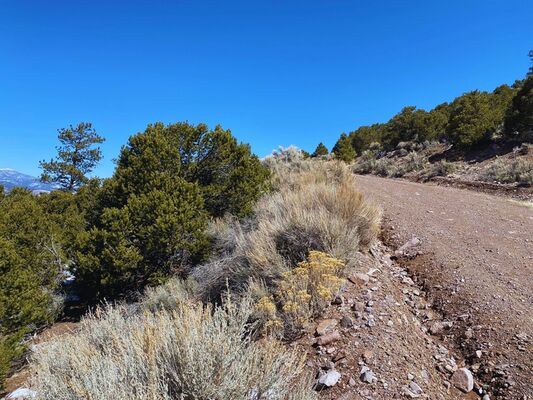 Peaceful 5 Acre Lot Available in Costilla, CO! Only $300/Mo.