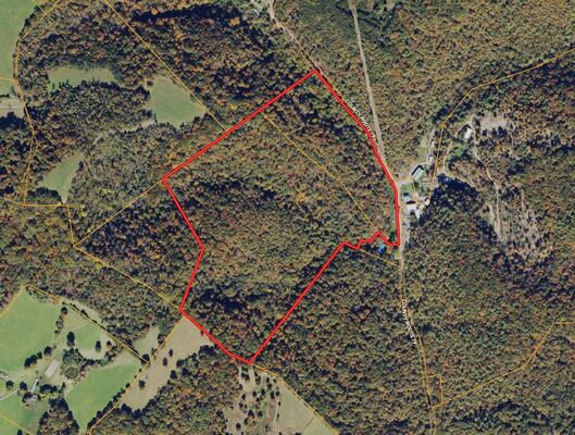 45.39 Acres For Sale in Monroe County West Virginia!