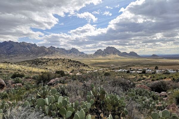 With 2.5 Acres Escape to Your Luna, NM  Serenity For $149/MO