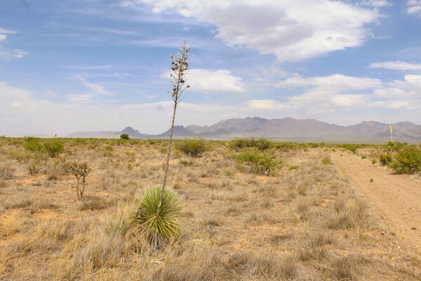 Deming, NM-5 Acres for ONLY $250/Mo!*Close-by Power Source*