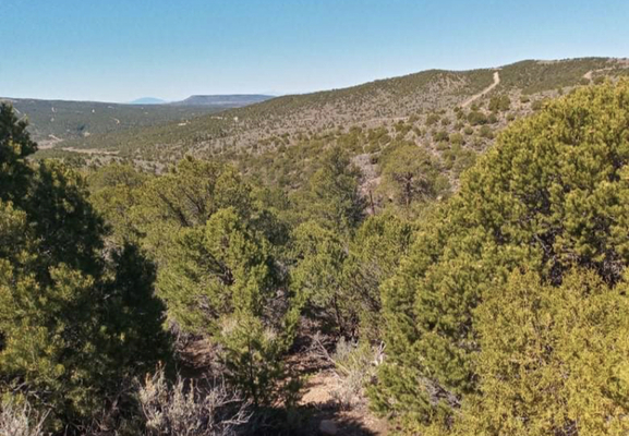 Spring Rd., Fort Garland, CO, USA Land for Sale | Landmodo