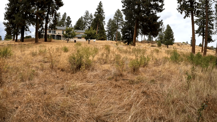 Buildable Lot in Chiloquin, OR – Ready for Development