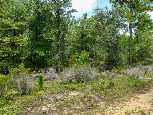 Affordable 0.30-Acre by Lakes & Trails for $179/Month