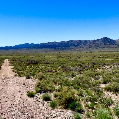 A Tapestry of Beauty and Adventure in Arizona!