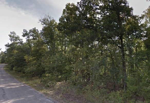 Invest in your freedom w/ a 0.12 acre lot in AR  $75/mo