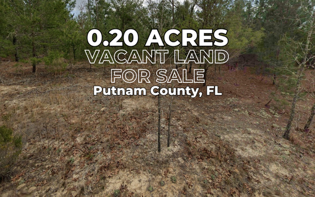 Perfect Putnam Land: Trees, RV & Mobile Home <del>$300 </del> $150 Down