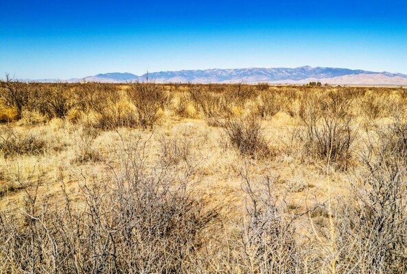 Enjoy This Breathtaking 0.2 Acre Lot in Cochise  AZ SOLD!