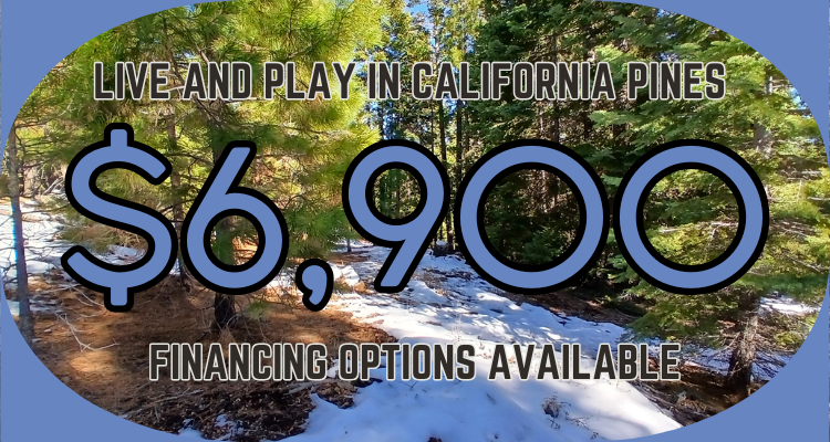 Own 0.84 Acres in CA – Perfect for Outdoor Adventurers!