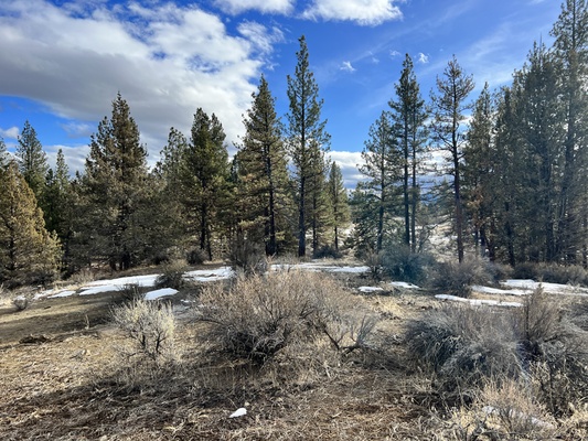 2.34-Acre Nestled Near the Fremont-Winema National Forest!