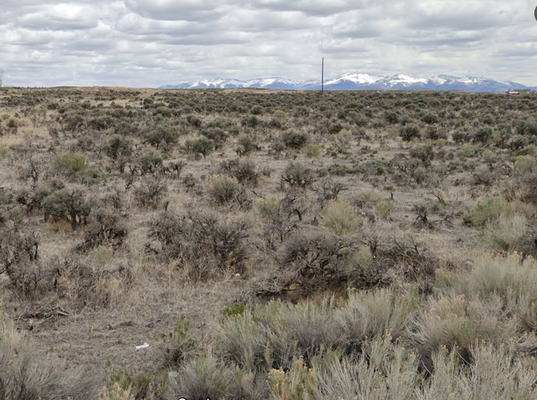 Private Land in Elko, NV – 1.13 Acres for $200/Month!