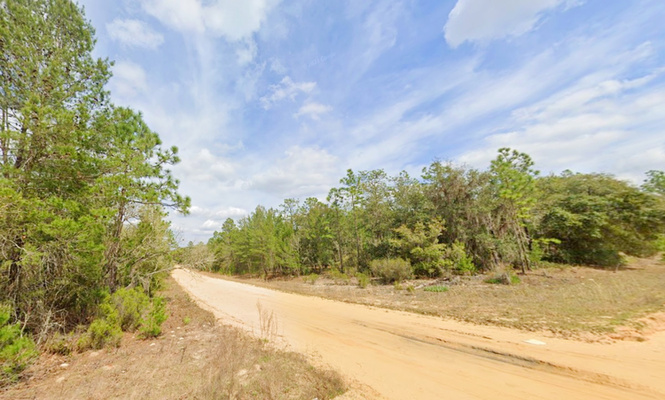 Live in Sunshine and Peace- Prime 0.22 Acres in Interlachen!