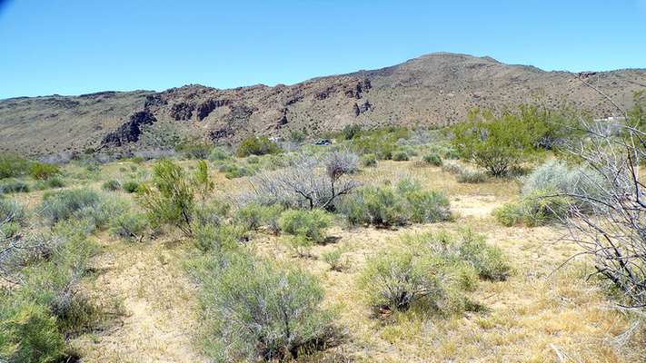 Dream Big - Easy Road Access & Mountain Views near Kingman!