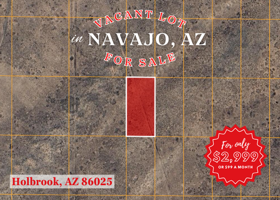 Buy Dirt, Get Rich: 1.26 Acres, JUST  $99/Down!