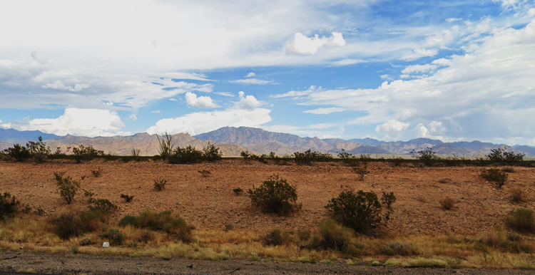 2.35 Acres of Homesteading Potential in Yucca, AZ! $175 /Mo