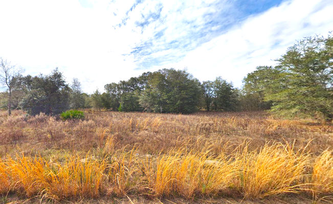 SOLD: Invest in 0.22-Acres of Putnam County, FL, $100 Down!