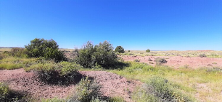 Experience A New Start on 4.43 acre of Land in St Johns County Arizona Only $ 310/MO