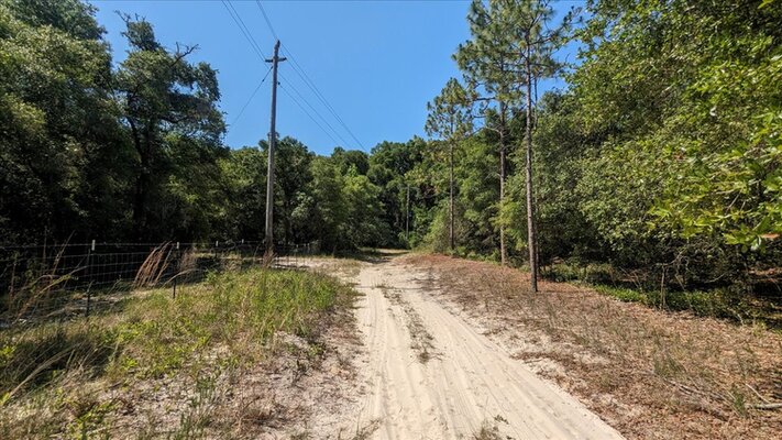 ONLY $59 to OWN 0.4 Acres in Interlachen, FL