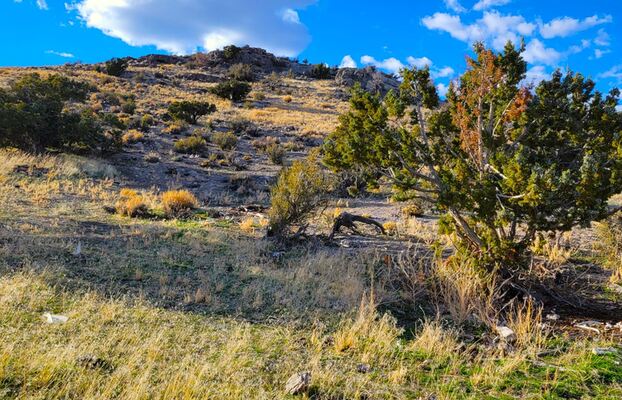 Grab 10 Acres in Montello, NV for Only $250/Month!