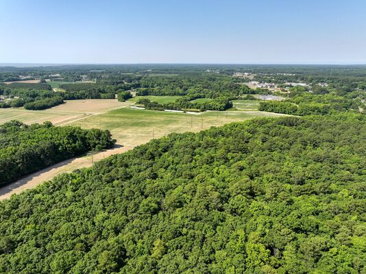 17.36 Acres For Sale in Northampton County Virginia!