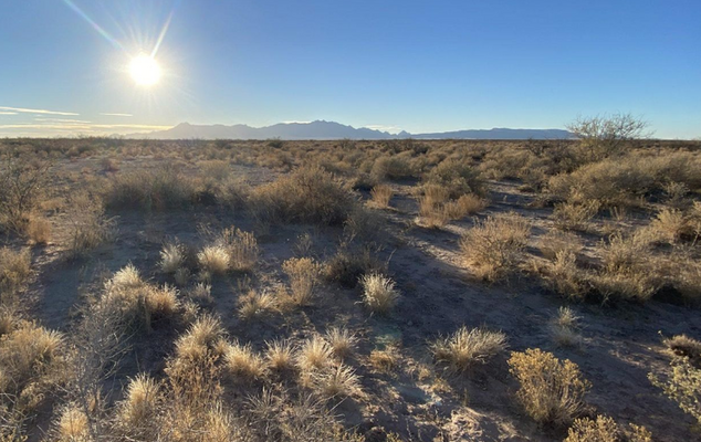 Capture This 1-Acre Lot in Luna County, NM. Just $198/Mo.!