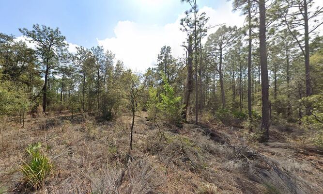 No Banks, No Hassle – Own a .22-Acre Lot for Only $180/Mon