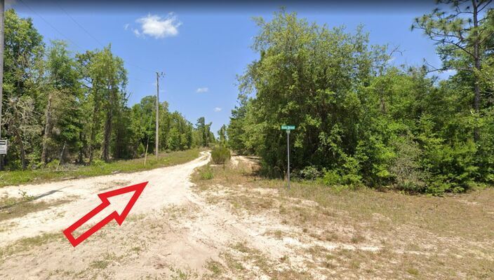 0.20 Acres of Sunny Paradise in Putnam, FL  Only $147 down!!