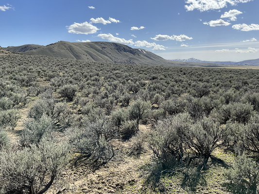 It can get you a great spot to relax! 1.1 acres Elko County