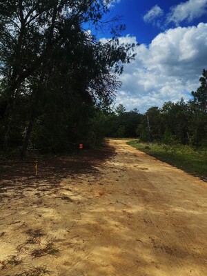 Prime Investment Opportunity: 0.30 Acres in FL! $244/Mo