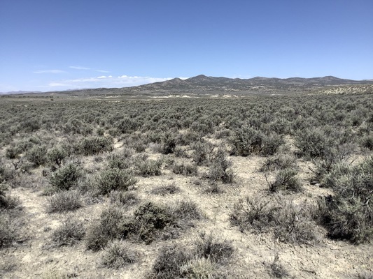 Non-Stop Outdoor Fun in Nevada 10 Acres Only $200/Mo