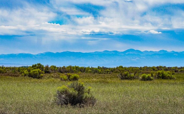 Build your Off-Grid paradise on this amazing 40.00-acre property in Alamosa, CO.