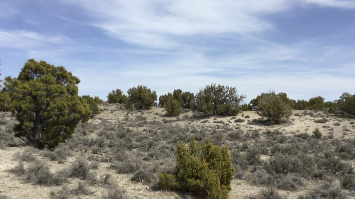 40 acre lot in NE Nevada - Adjacent to over 1000 acres of protected land (West and South borders)