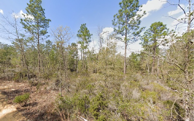 Grab 0.22 Acres in FL for $99 Down— Mobile Homes Welcome!