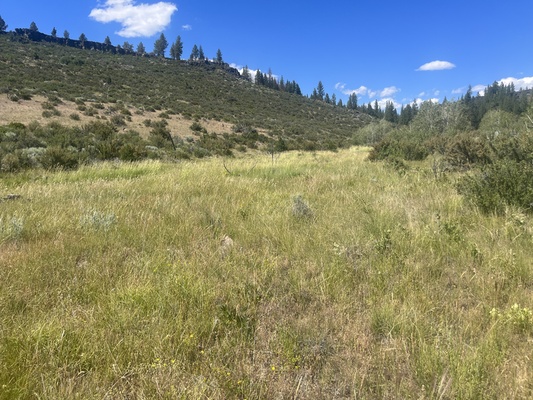 1.54 Acre Hunt, Fish, and Own Your Off-Road Biking Paradise