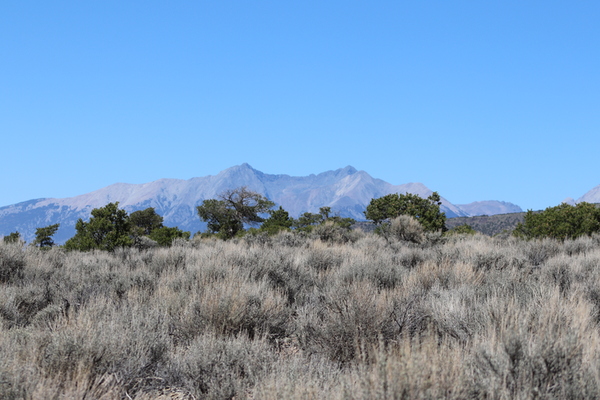 5 Acres in Costilla – Adventure, Solitude, and Epic Views!