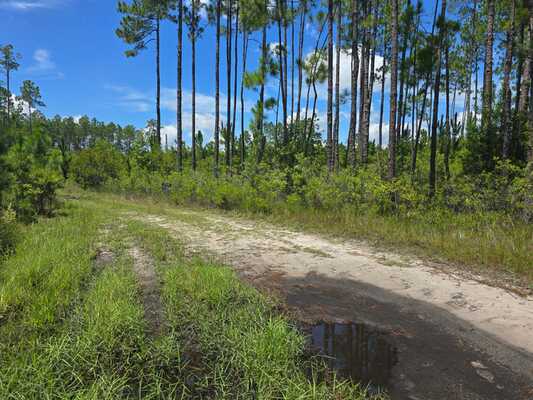 The Great Outdoor Beckons on 2.14 Acres in Florida!