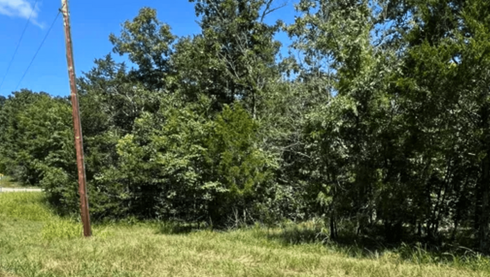 Bring Out Your Adventurous You! 0.17 Ac In Boone,AR @$75/MO!