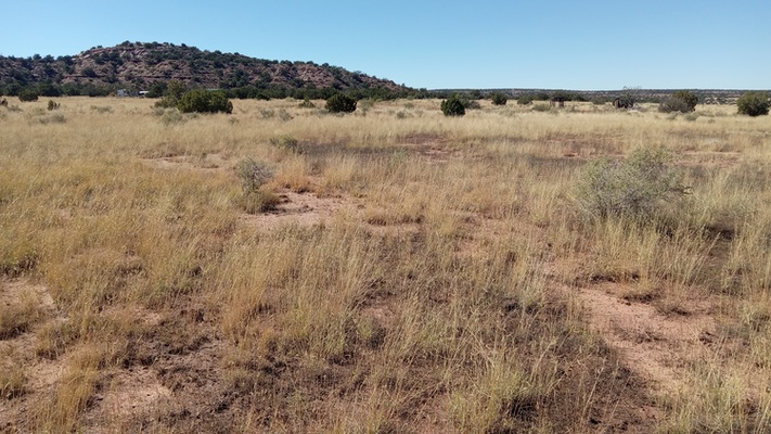 Cabin-ready mountain land for sale in Snowflake, AZ