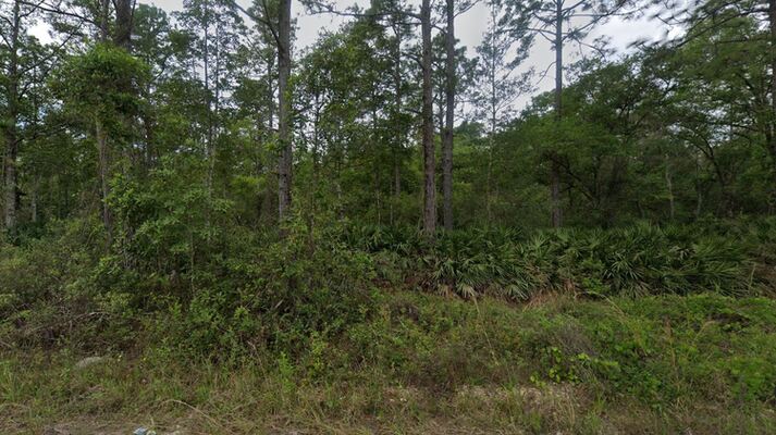 Your Exclusive 0.23-Acre Hideaway in FL! $161/Mo